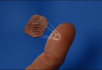 Finger Scan